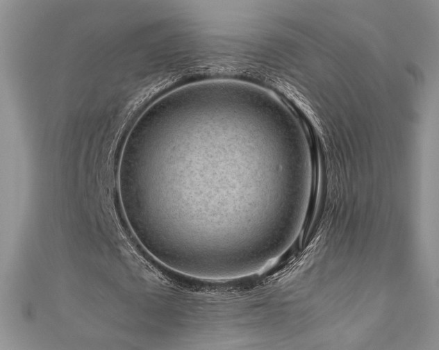 X0000111190673200907011412