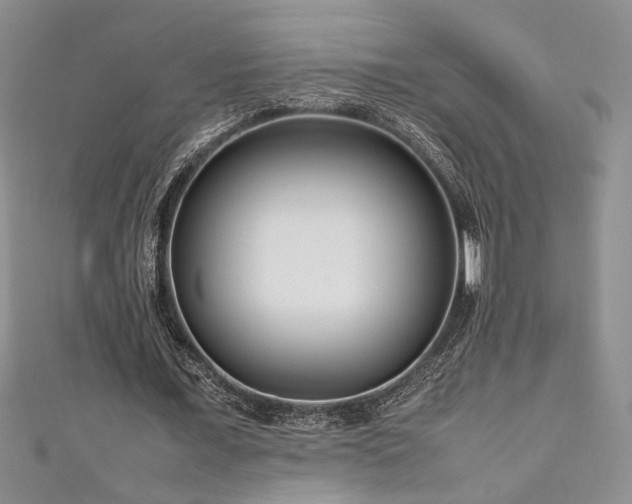 X0000111190675200907011412