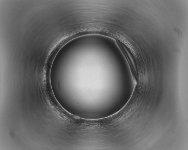 X0000111190676200907011412