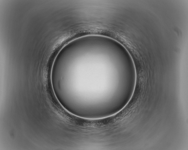 X0000111190679200907011412