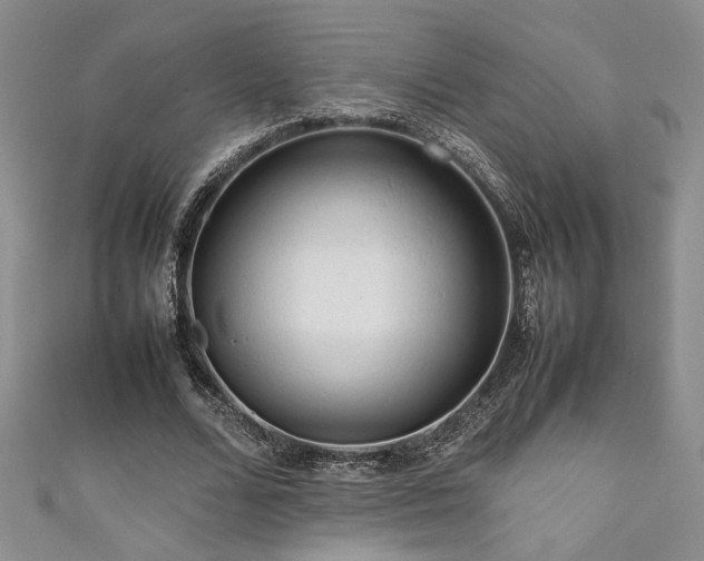 X0000111190680200907011412