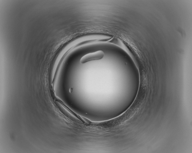 X0000111190681200907011412