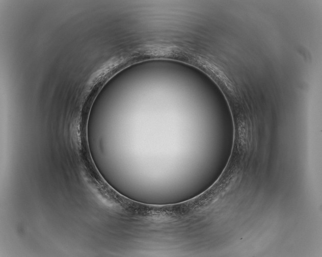 X0000111190682200907011412