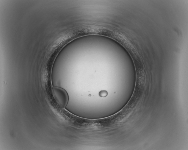 X0000111190683200907011412