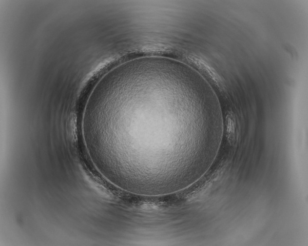 X0000111190684200907011412