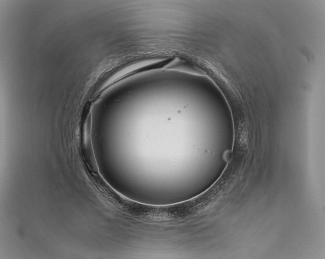 X0000111190685200907011412