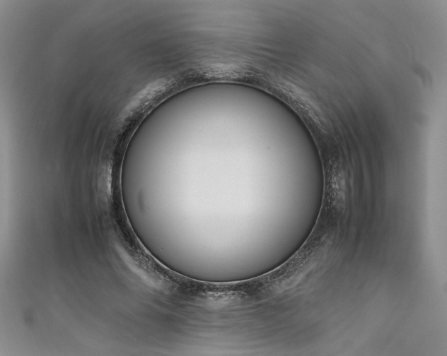 X0000111190686200907011412