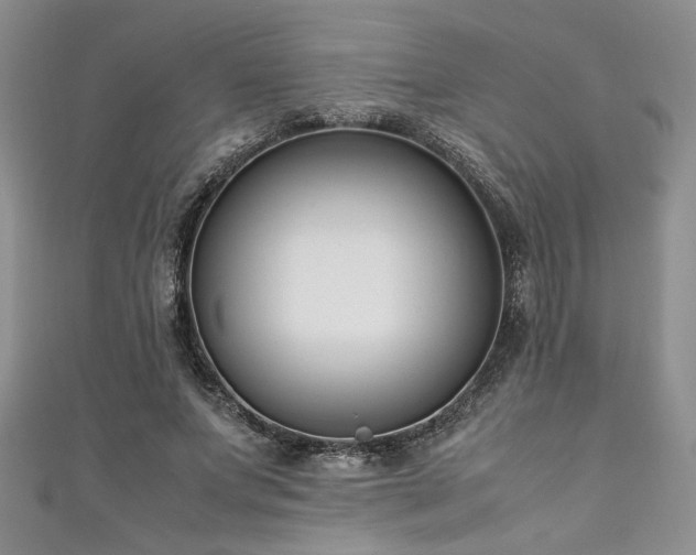 X0000111190687200907011412