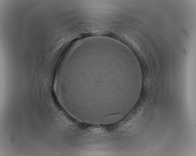 X0000111190689200907011412