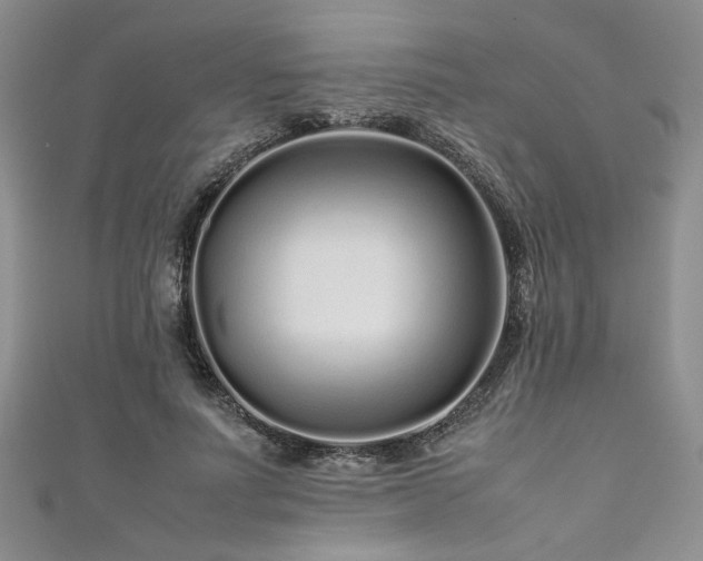 X0000111190691200907011412