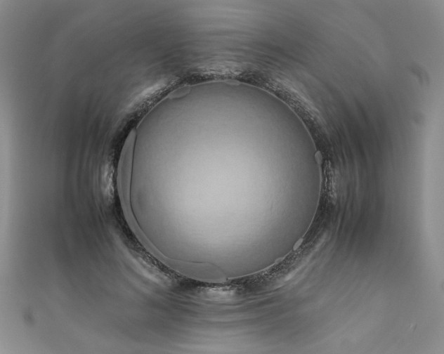 X0000111190692200907011412