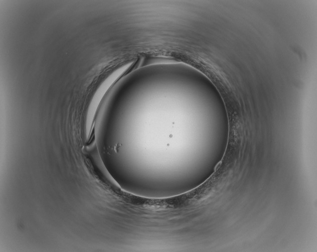 X0000111190693200907011412