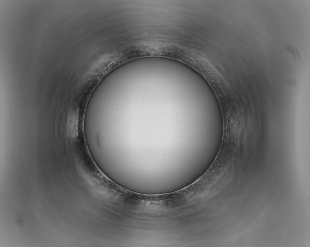 X0000111190694200907011412