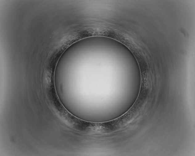 X0000111190695200907011412