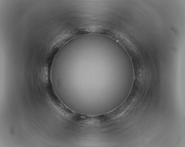 X0000111190696200907011412