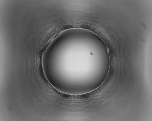 X0000111190697200907011412