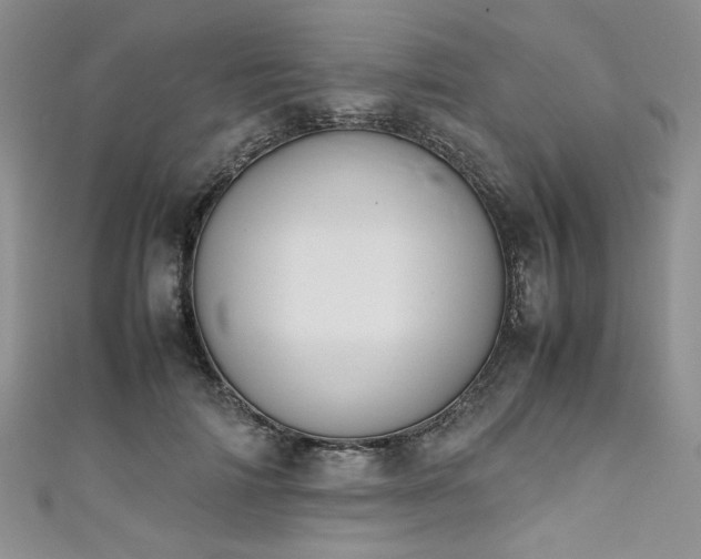 X0000111190698200907011412