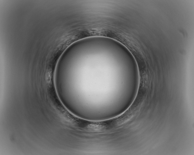 X0000111190699200907011412