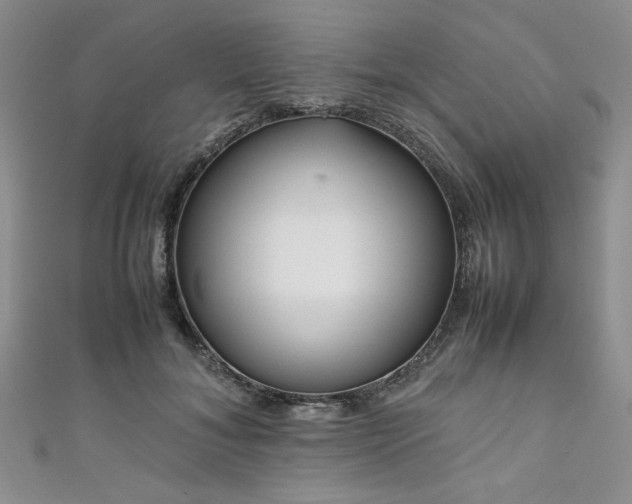 X0000111190700200907011412