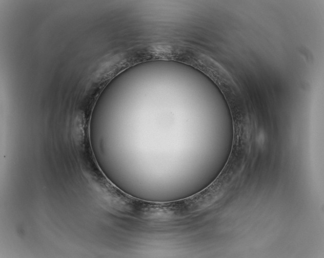 X0000111190702200907011412