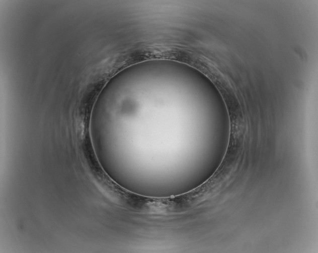 X0000111190703200907011412