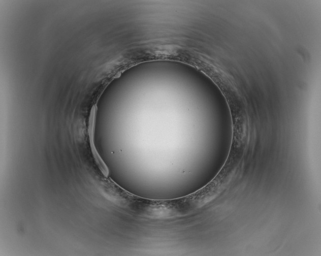 X0000111190704200907011412