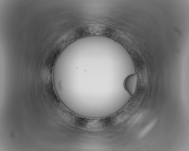 X0000111190705200907011412