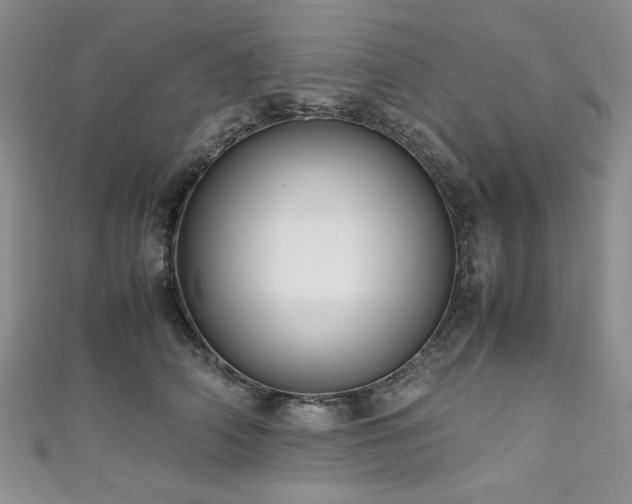 X0000111190706200907011412