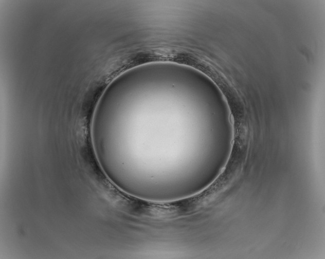 X0000111190707200907011412