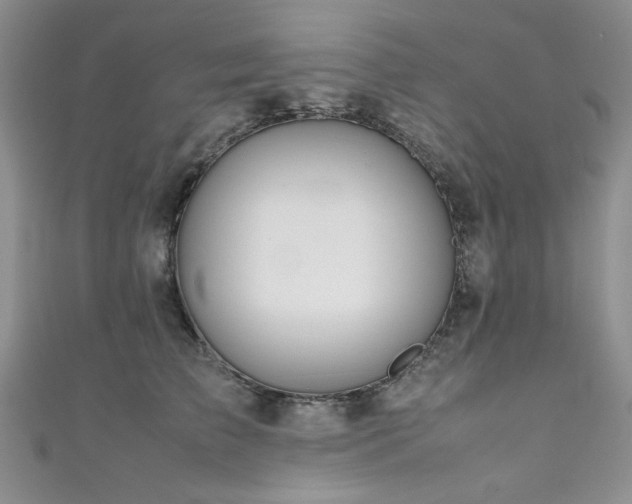 X0000111190709200907011412