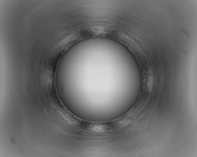 X0000111190710200907011412