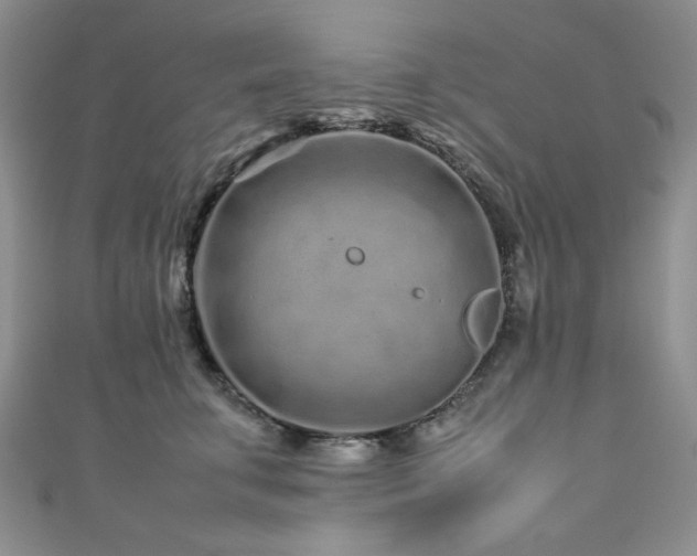 X0000111190711200907011412