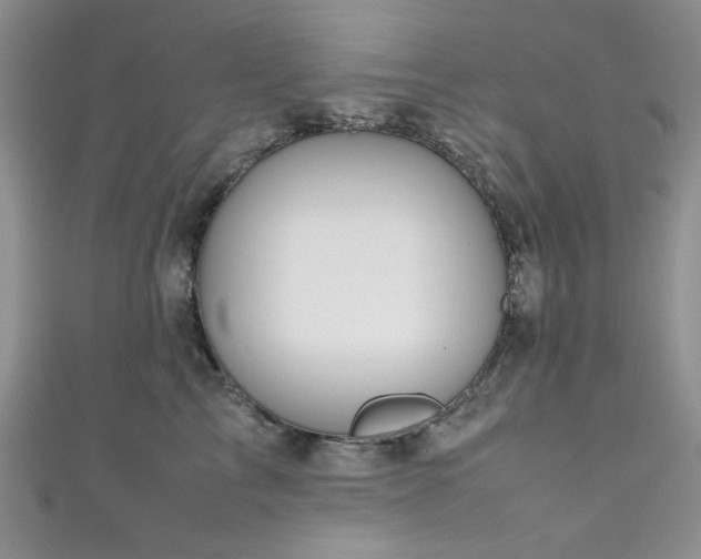 X0000111190713200907011412