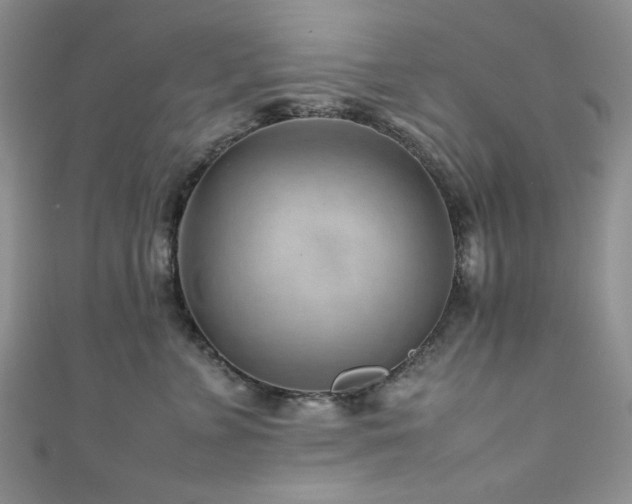 X0000111190715200907011412