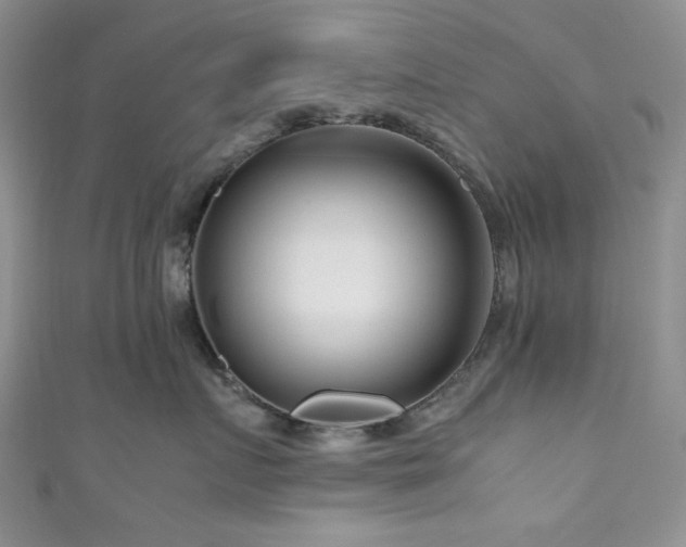 X0000111190719200907011412