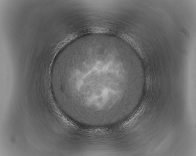 X0000111190721200907011411