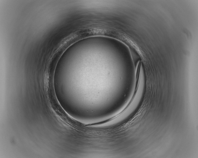 X0000111190722200907011411