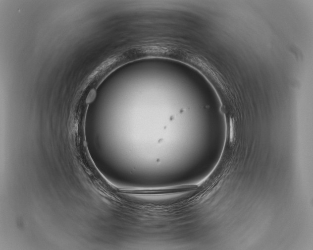 X0000111190723200907011411