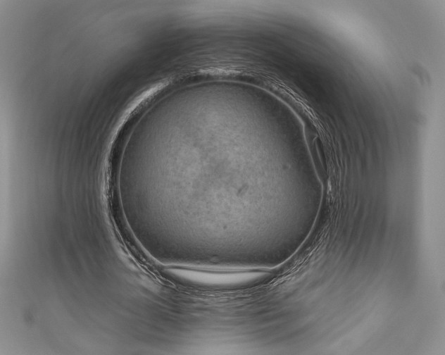 X0000111190724200907011411