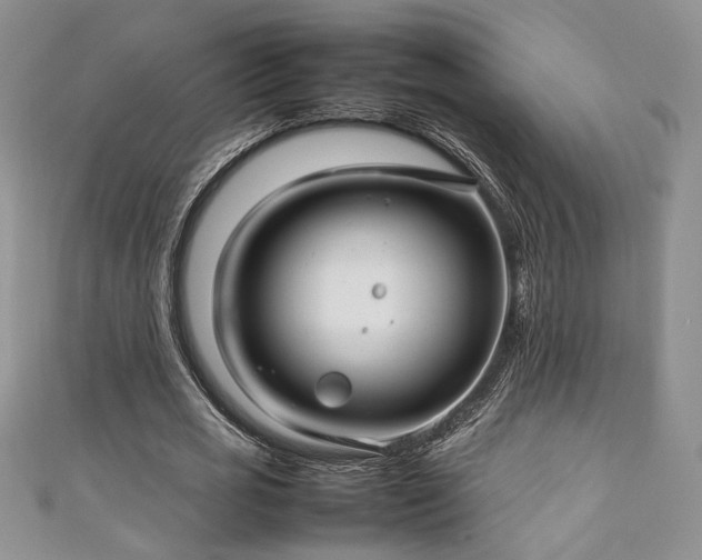 X0000111190725200907011411