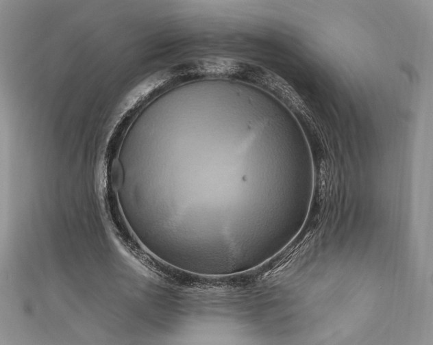 X0000111190726200907011411