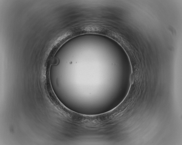 X0000111190727200907011411