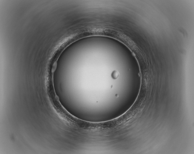 X0000111190728200907011411