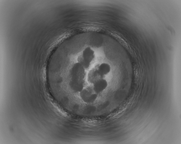 X0000111190729200907011411