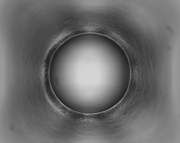 X0000111190730200907011411