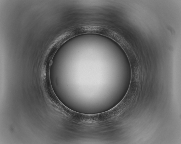 X0000111190731200907011411