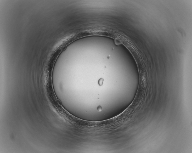 X0000111190732200907011411