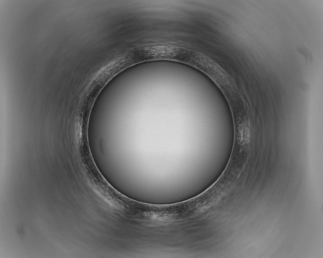 X0000111190733200907011411