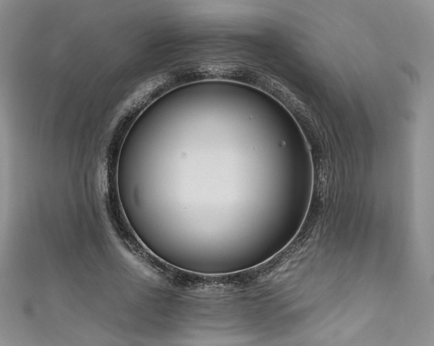 X0000111190734200907011411