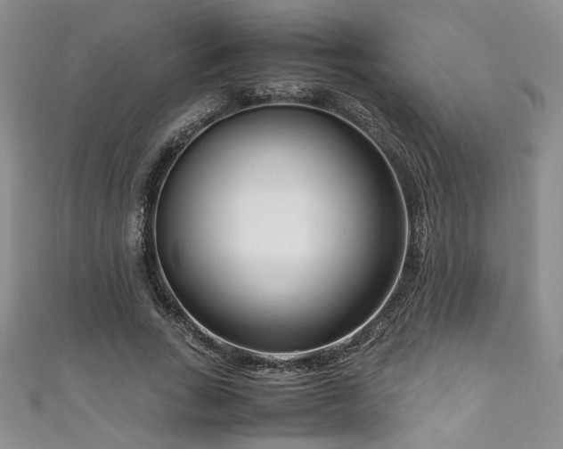 X0000111190735200907011411